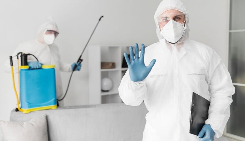 pest control company in Edmonton