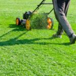weed control in Saskatoon