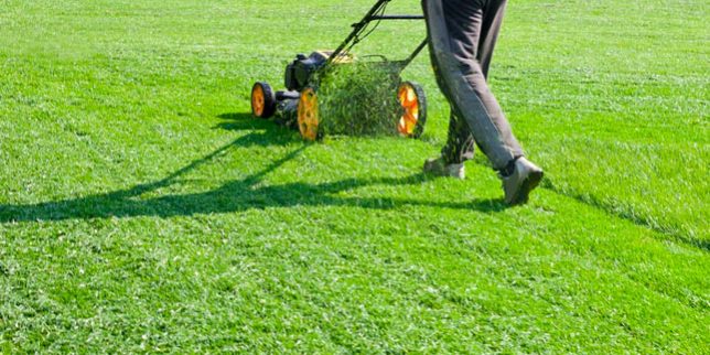 weed control in Saskatoon